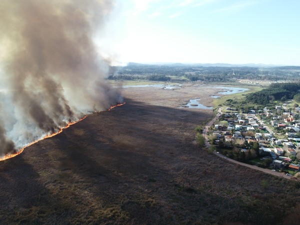 Incendio en un monte sobre Laguna del Diario