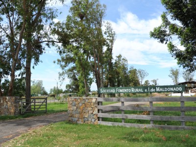 Sociedad Fomento Rural de Maldonado busca soluciones para mitigar los efectos de la sequía “más larga en el tiempo”, dijo su presidente