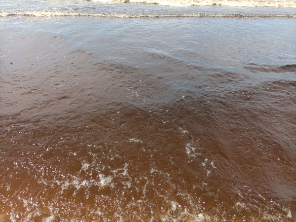 La intendencia de Maldonado advierte no bañarse en zonas afectadas por el cambio de color del agua