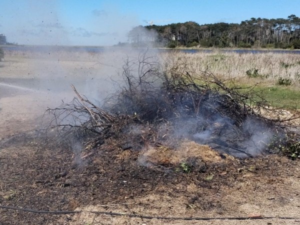 rapetti, laguna del diario, quema, incendio,