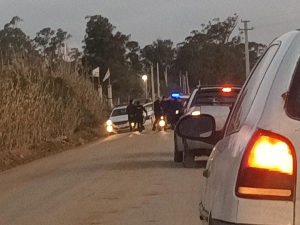 Herido de bala, Benedetti, perros