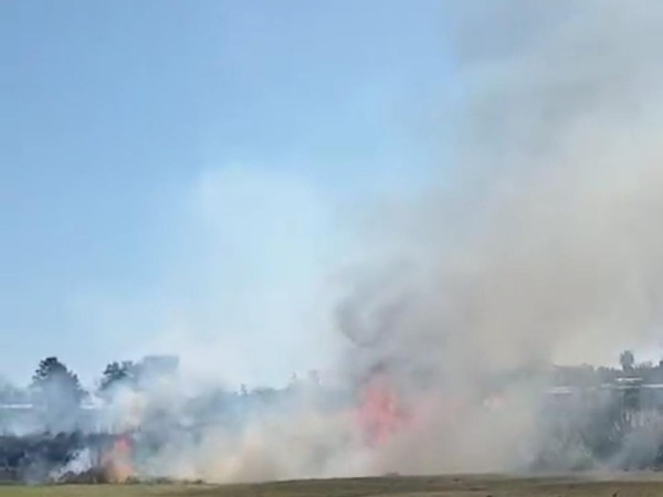 incendio,CerroPelado,quema,cables,vecinos