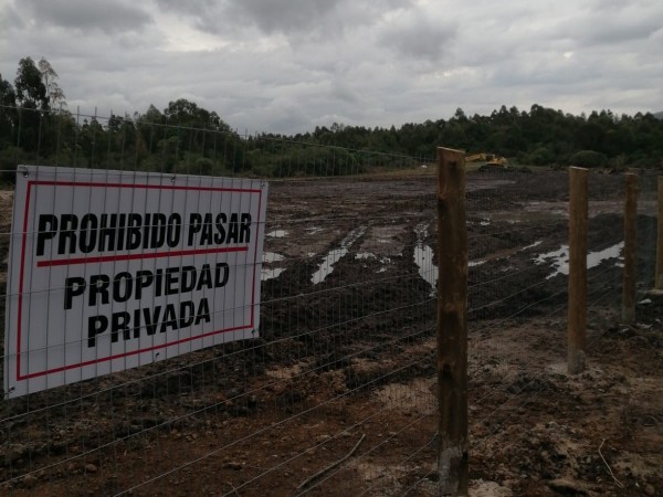 playa grande, denuncias de vecinos, humedal del arroyo Zanja Honda, Piriápolis, Soledad Laguarda,