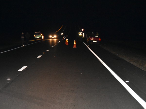 Piriápolis: bovino suelto en Ruta 37 ocasiona siniestro de tránsito