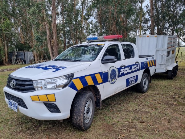 abigeato, seguridad rural, maldonado,