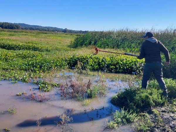 laguna del diario, limpieza,