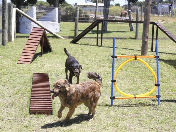 Inauguraron espacio de recreación y rehabilitación para animales en el Refugio Municipal