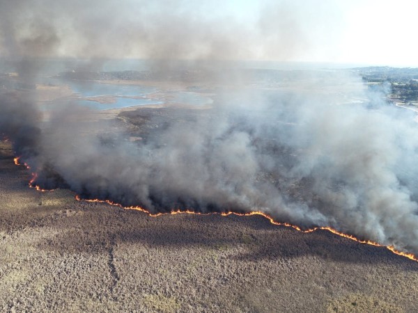 incendio, laguna del diario, maldonado,