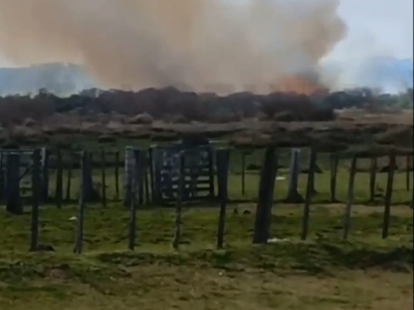 incendio,CaminodeLosCeibos,quema,bajo,control