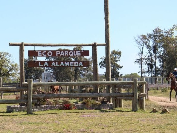 Hallaron un hombre sin vida en San Carlos