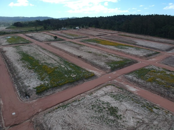 Sortearán más de 200 terrenos en Maldonado y otros puntos del departamento