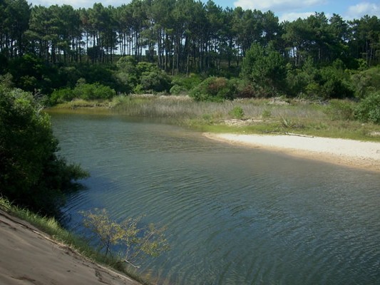 arroyo,ElPotrero,humedales,vecinos,SantiagoMirande