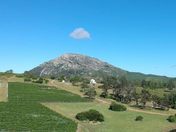 Ascenso al cerro Pan de Azúcar está habilitado pero se mantiene clausurado ingreso a la cruz, informó la nueva directora de la Reserva