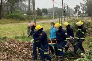 Un hombre sufrió traumatismo cuando talaba árboles