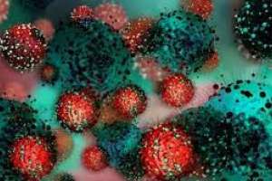 Coronavirus y cifras que bajan: 1.027 casos nuevos, 20 fallecidos con 1 de Maldonado y 308 pacientes en CTI