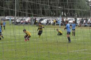 3.000 niños tendrán árbitras y directoras técnicas de fútbol infantil