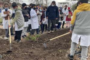 Municipio reinició el programa de Huertas Comunitarias