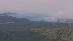 Incendio de campo  en ruta 9, próximo a Pan de Azúcar estaba controlado anoche