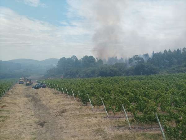 El incendio en el Cerro del Toro está controlado y circunscripto dentro de los cortafuegos que fueron reforzados; 500 personas fueron evacuadas