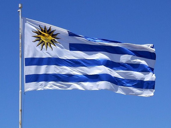 Uruguay 2024: un año de política, fútbol y música que marcó la historia. Mirá los eventos más destacados