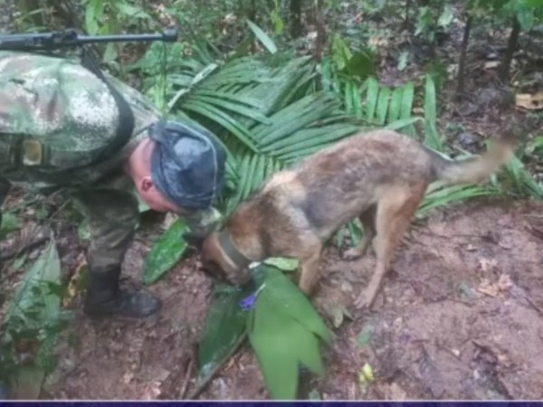 Buscan a 4 niños desaparecidos tras un accidente aéreo en la selva colombiana; los adultos murieron